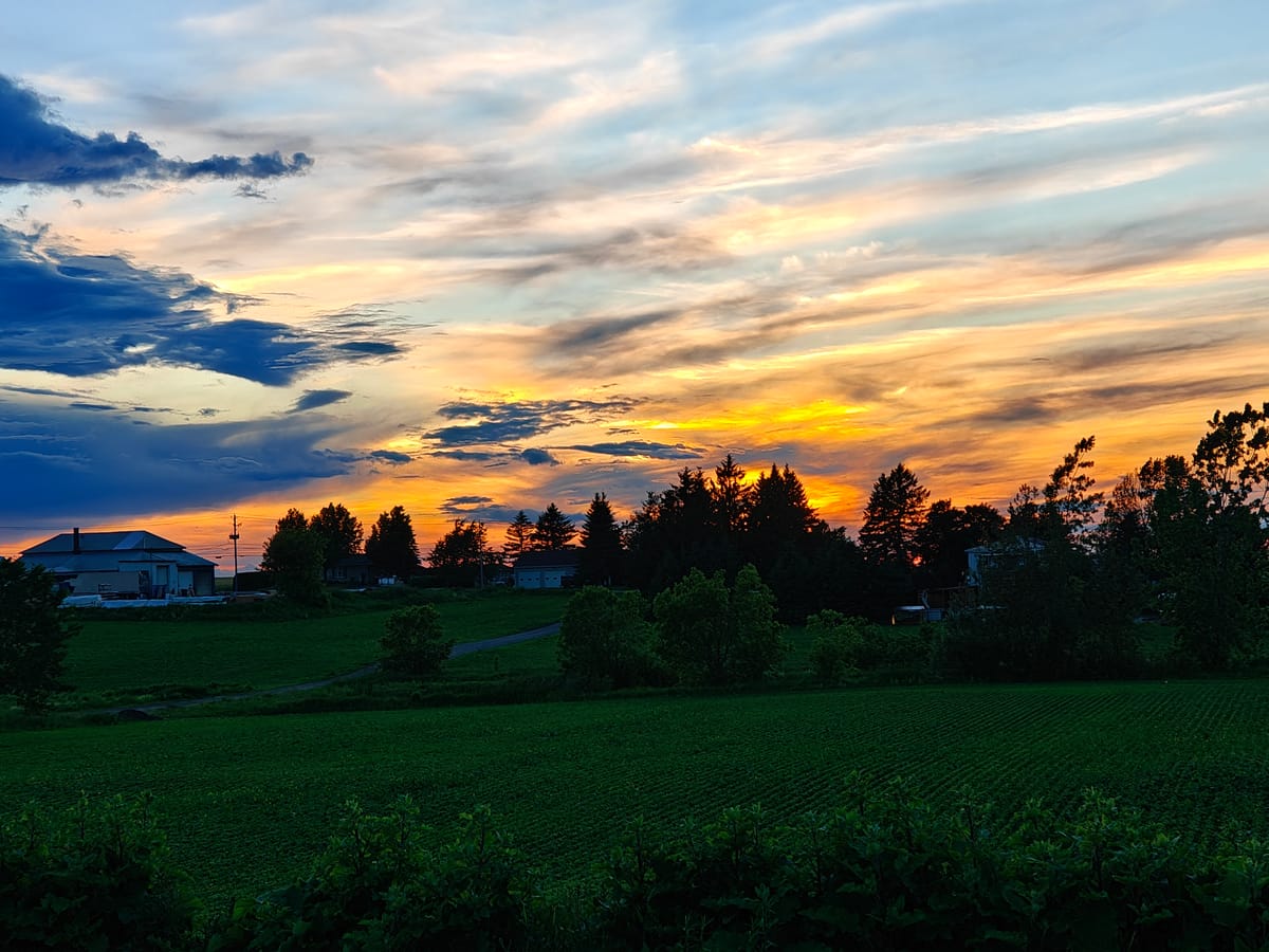 Stop 15: Plessissville, Quebec