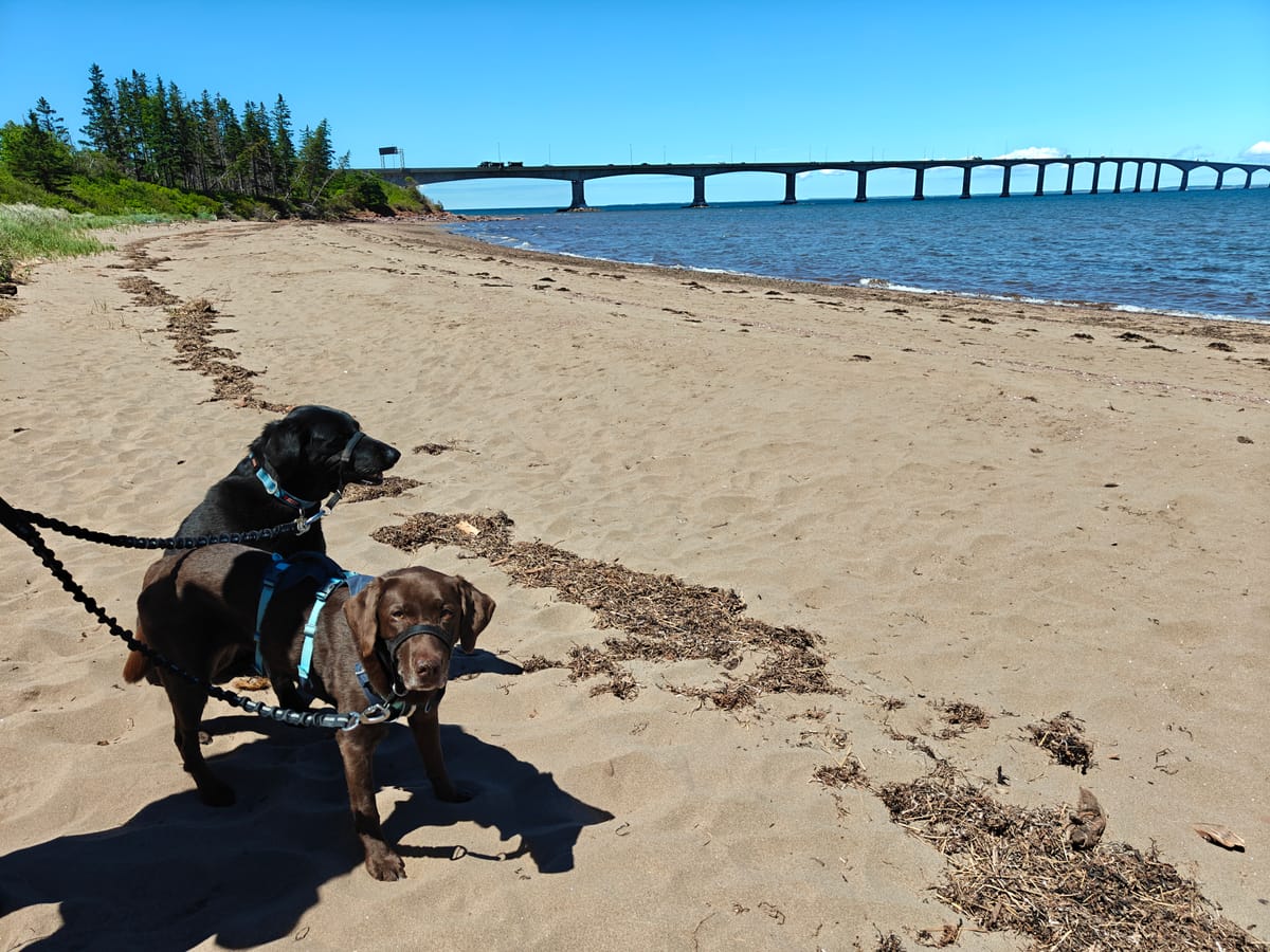 Stop 17: Prince Edward Island Pt 1