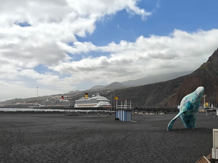 La Palma (Santa Cruz) 14th Feb