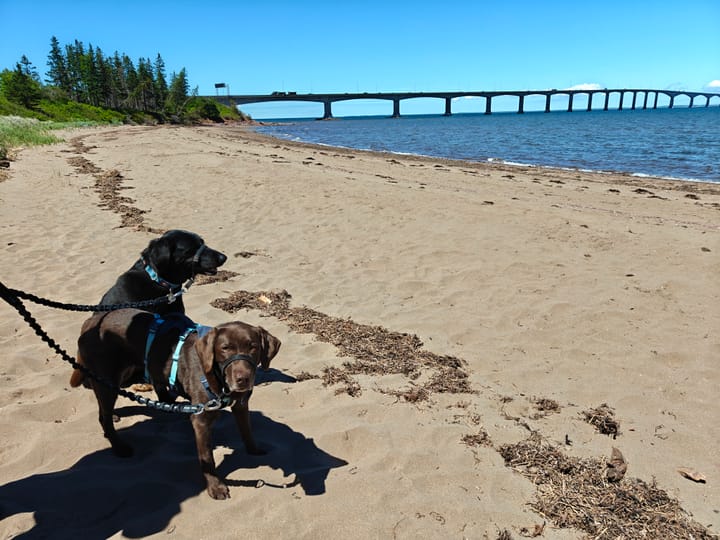 Stop 17: Prince Edward Island Pt 1